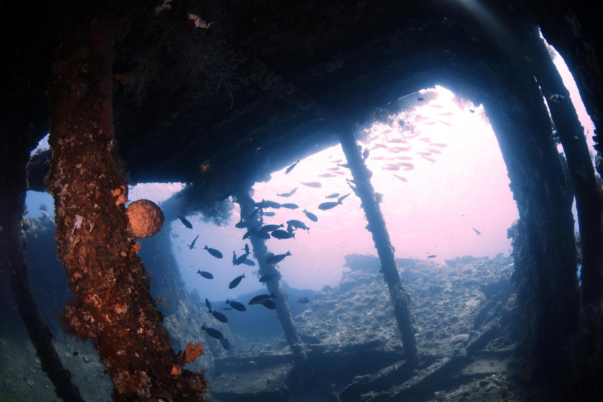 Villa Alba Bali Dive Resort Tulamben Buitenkant foto